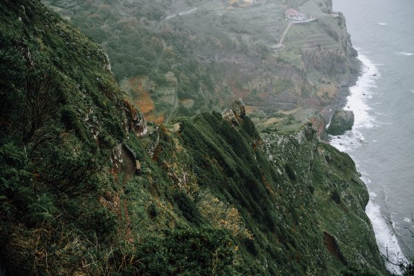 Enchanted Forest – Madeira